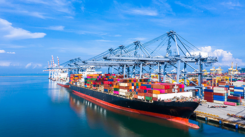 exportaciones frutas hortalizas