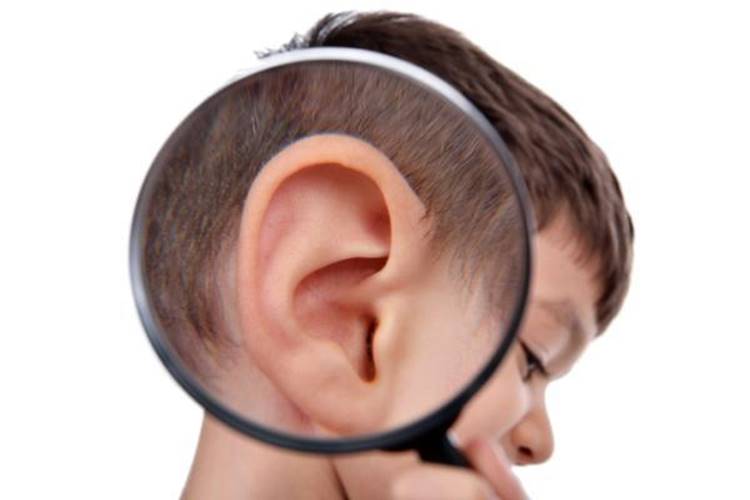 Tipos de percepción en psicología - Percepción auditiva