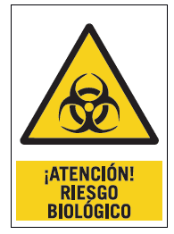 https://artser.es/wp-content/uploads/2024/10/image-4.png