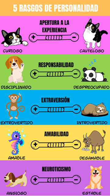 https://econosublime.com/wp-content/uploads/2023/08/rasgos-personalidad.png