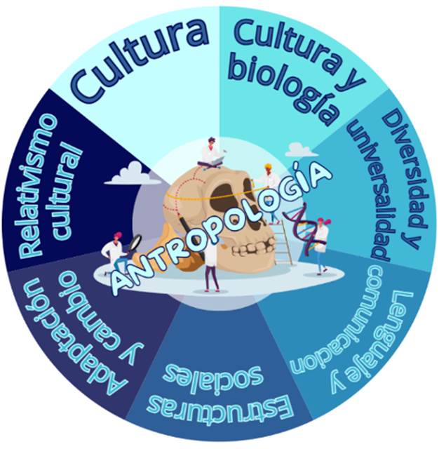 https://econosublime.com/wp-content/uploads/2024/09/fopp203.png